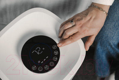 Климатический комплекс Garlyn AirClean V60