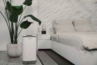 Климатический комплекс Garlyn AirClean V60