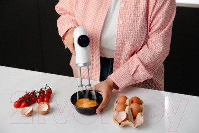 Миксер ручной Garlyn HM-50