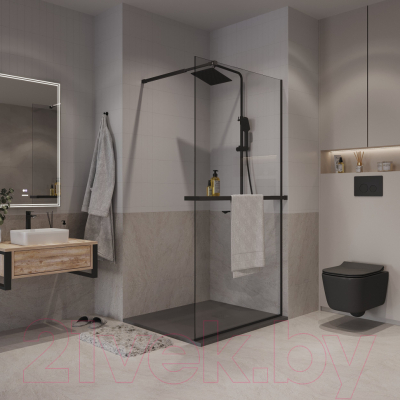 Душевая стенка Niagara NG-670-12ВLACK 120x195