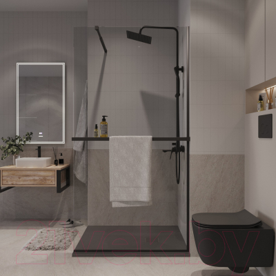 Душевая стенка Niagara NG-670-80ВLACK 80x195