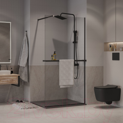 Душевая стенка Niagara NG-670-90ВLACK 90x195