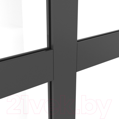 Душевая стенка Niagara NG-686-10BLACK 100x195