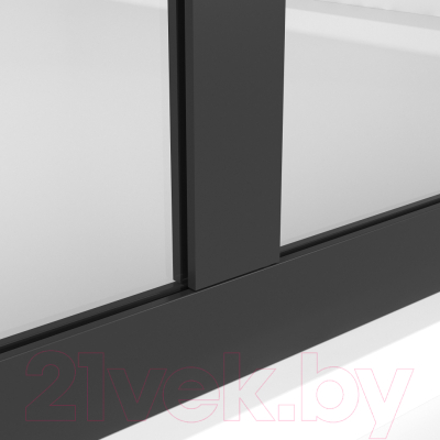 Душевая стенка Niagara NG-686-10BLACK 100x195