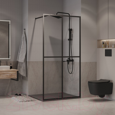 Душевая стенка Niagara NG-686-10BLACK 100x195