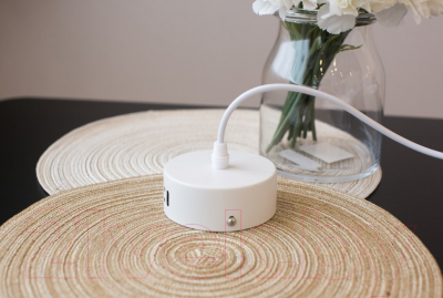 Потолочный светильник Home Light Астерия A043-0-W