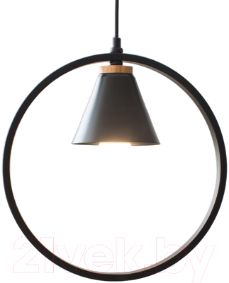 Потолочный светильник Home Light Астерия A043-0-B - фото