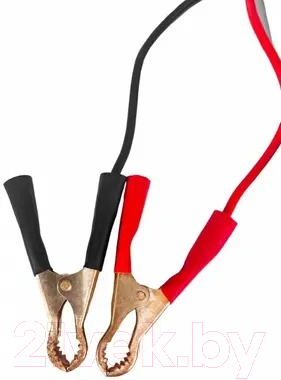 Зарядное устройство для аккумулятора Brait BC-10i / pm99142511