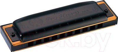 Губная гармошка Hohner Pro Harp 562/20 MS C / M564016 - фото