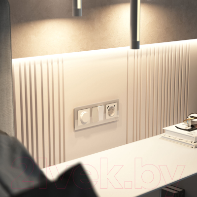 Диммер Werkel W1142043