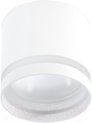 Точечный светильник SmartBuy SBL-TS2006-GX53-w - фото