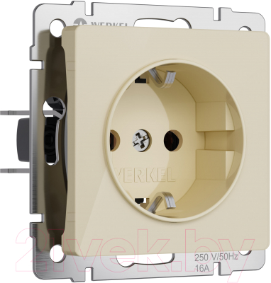 Розетка Werkel W1171043 - фото