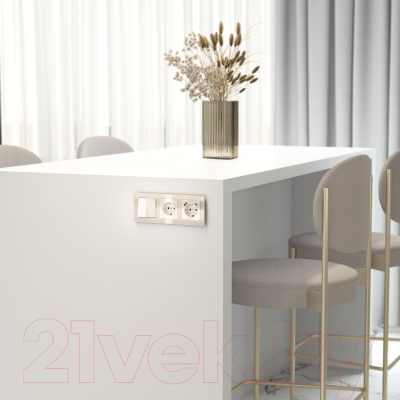 Розетка Werkel W1171043