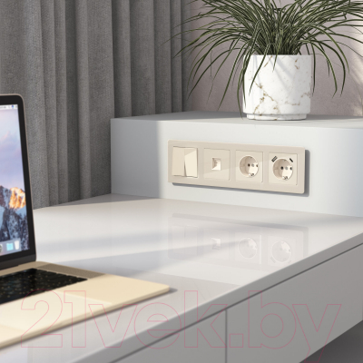 Розетка Werkel Ethernet RJ-45 / W1181043