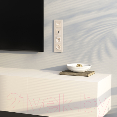 Розетка Werkel W1183043