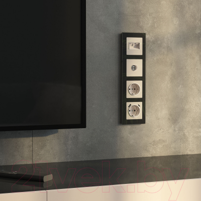 Розетка Werkel W1183043