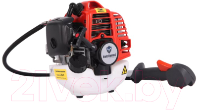 Триммер бензиновый Holzfforma FF226R (BC22600-12049)