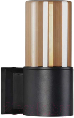 Бра уличное INhome AMBER-1xA60-BL / 4690612052878 - фото