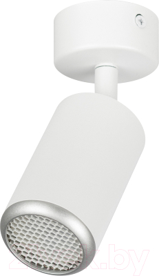 Спот ЭРА OL55 WH/SL MR16 GU10 / Б0061890 - фото