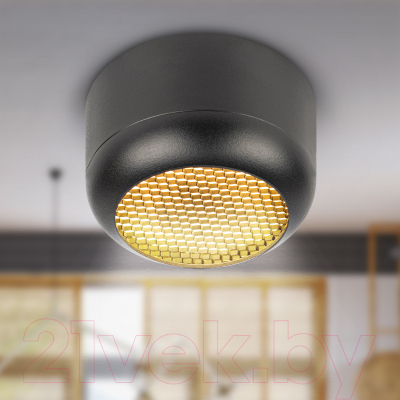 Точечный светильник ЭРА OL56 BK / Б0061879