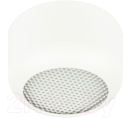 Точечный светильник ЭРА OL56 WH / Б0061877 - фото