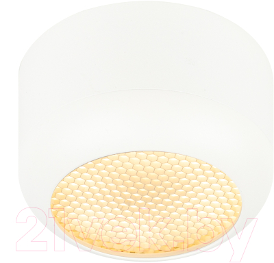 Точечный светильник ЭРА OL56 WH / Б0061877