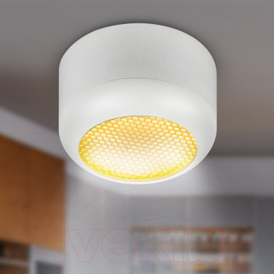 Точечный светильник ЭРА OL56 WH / Б0061877