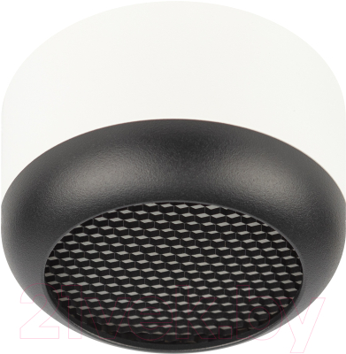 Точечный светильник ЭРА OL56 WH/BK / Б0061881 - фото