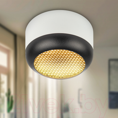 Точечный светильник ЭРА OL56 WH/BK / Б0061881