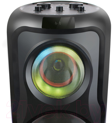 Портативная колонка Ginzzu GM-233