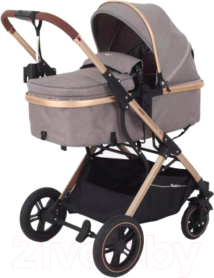 Детская универсальная коляска Rant Basic Pulsar Gold 2 в 1 / RA160  - фото