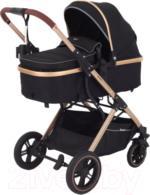Детская универсальная коляска Rant Basic Pulsar Gold 2 в 1 / RA160  - фото