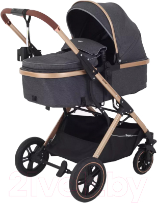 Детская универсальная коляска Rant Basic Pulsar Gold 2 в 1 / RA160  - фото