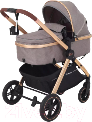 Детская универсальная коляска Rant Basic Roller Gold 2 в 1 / RA161  - фото