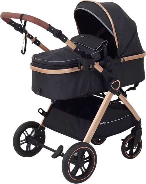 Детская универсальная коляска Rant Basic Roller Gold 2 в 1 / RA161  - фото