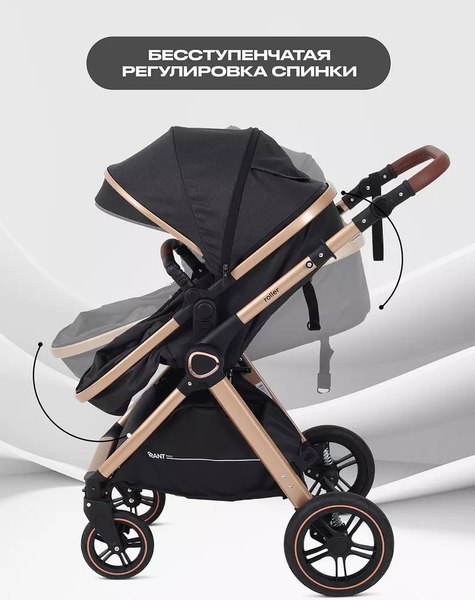 Детская универсальная коляска Rant Basic Roller Gold 2 в 1 / RA161 