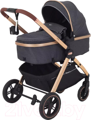 Детская универсальная коляска Rant Basic Roller Gold 2 в 1 / RA161  - фото