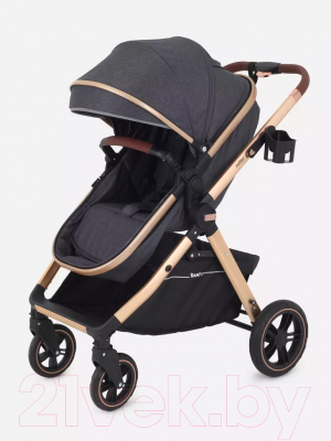 Детская универсальная коляска Rant Basic Roller Gold 2 в 1 / RA161 
