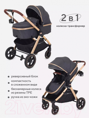 Детская универсальная коляска Rant Basic Roller Gold 2 в 1 / RA161 