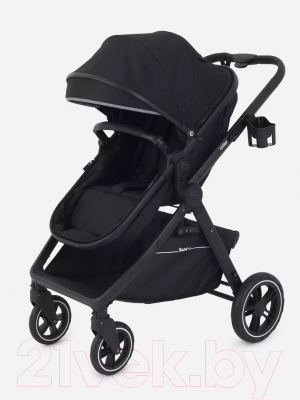Детская универсальная коляска Rant Basic Roller 2 в 1 / RA161 