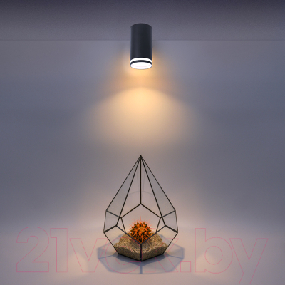 Точечный светильник Wolta WSL-GU10/02BL