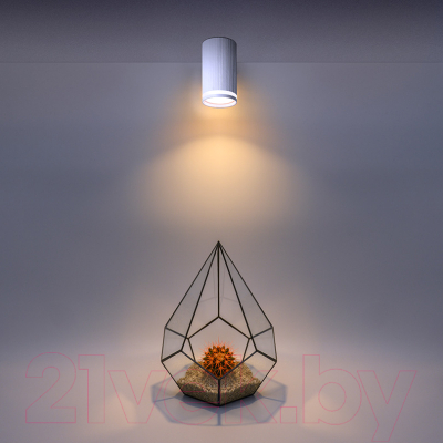 Точечный светильник Wolta WSL-GU10/03W