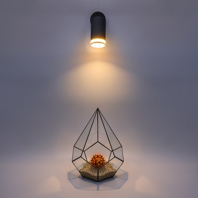 Спот Wolta WSL-GU10/04BL