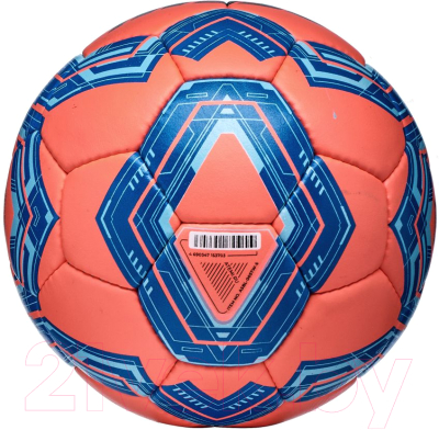 Футбольный мяч Atemi Winter Training