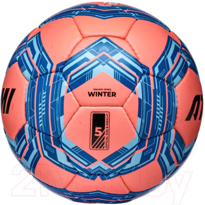 Футбольный мяч Atemi Winter Training