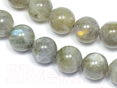 Бусы Wolves Лабрадор 3053