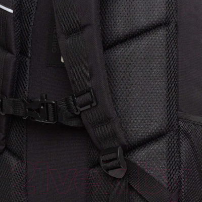 Рюкзак Grizzly RU-430-10