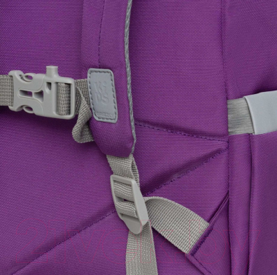 Школьный рюкзак Grizzly RO-471-1