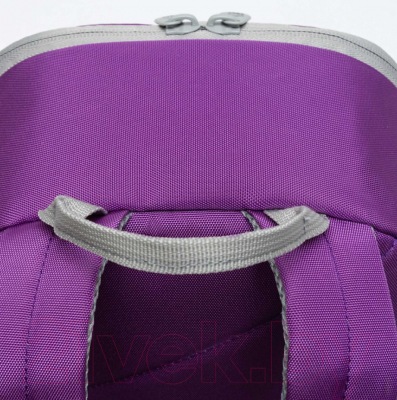 Школьный рюкзак Grizzly RO-471-1