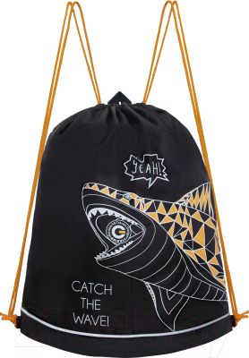 Мешок для обуви Grizzly OM-41-9 - фото